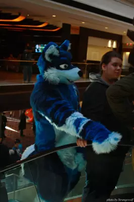 IMG_0967-lr.jpg of MFF/MFF2013/