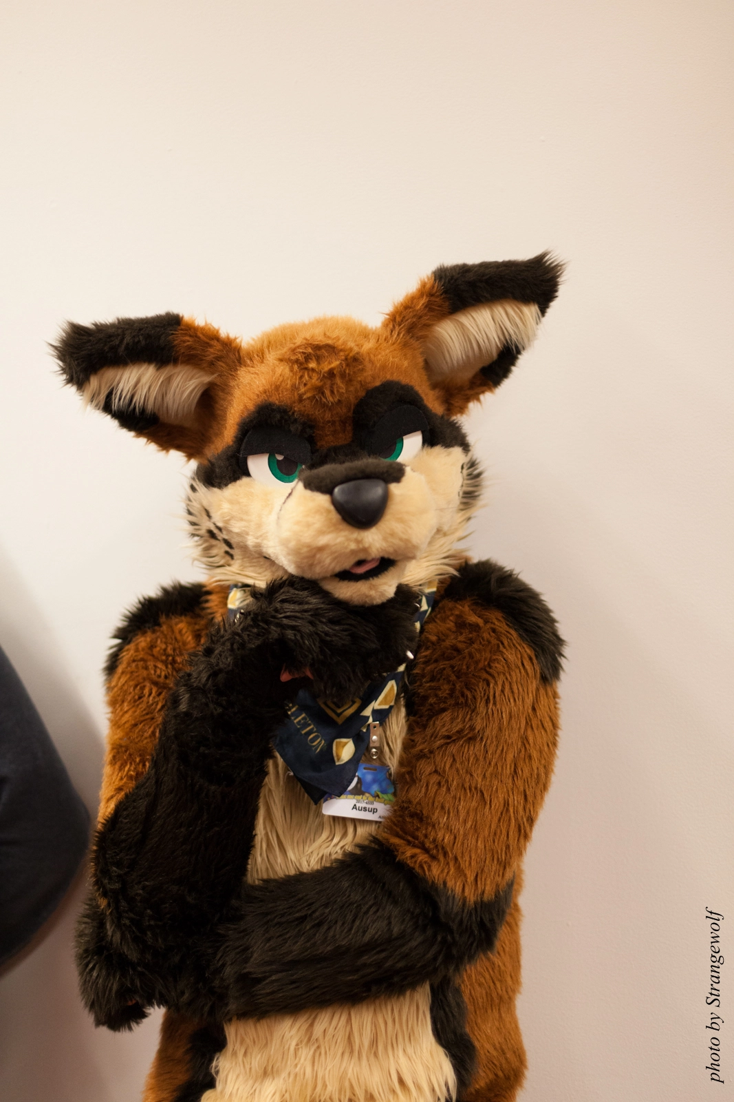 full image IMG_4699-lr16t.jpg