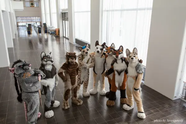 IMG_0386-lr19t.jpg of NFC/NFC2018/OFA-Shoot/