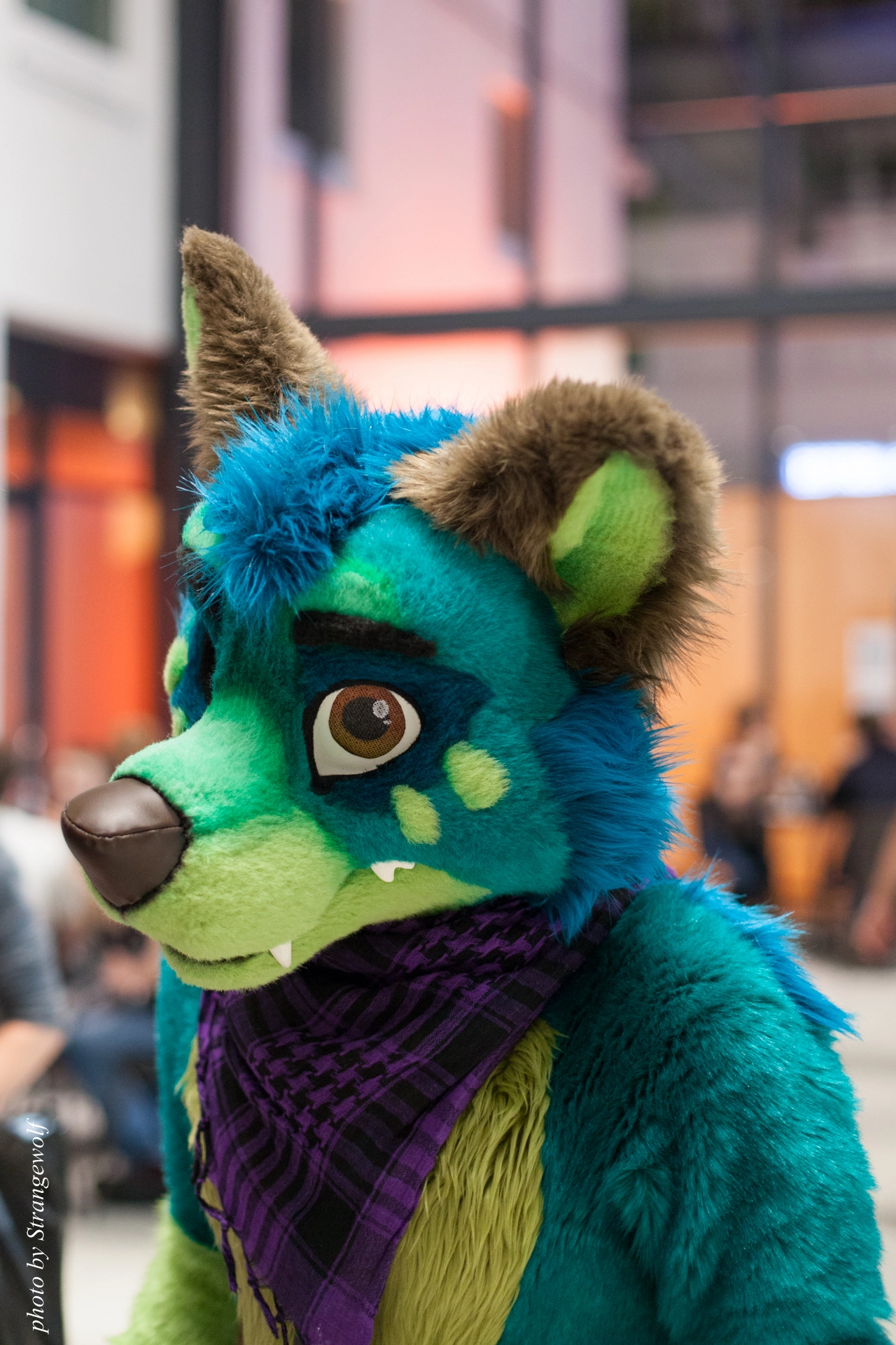 full image IMG_6339-lr19t.jpg