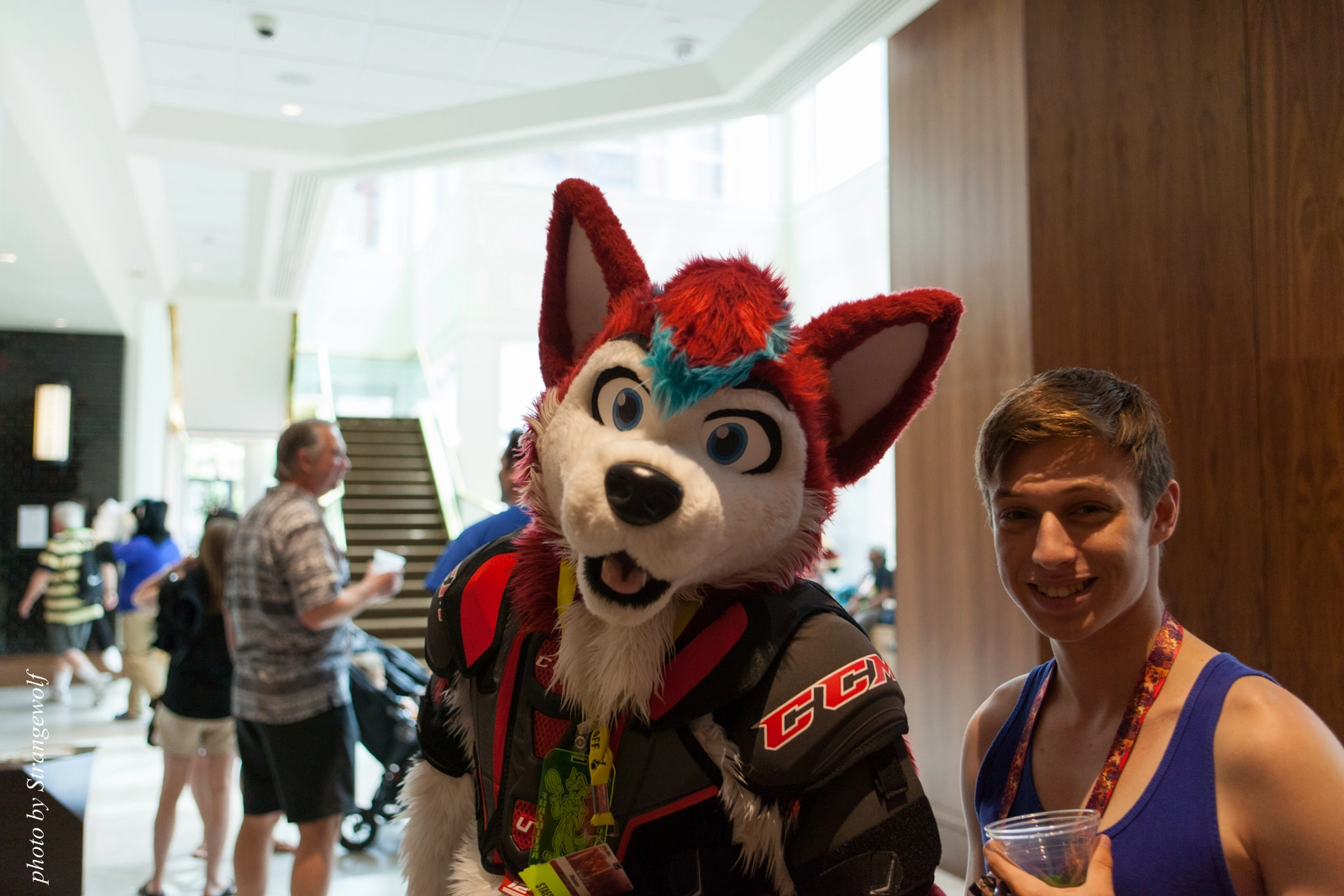 full image IMG_8111-lr16t.jpg