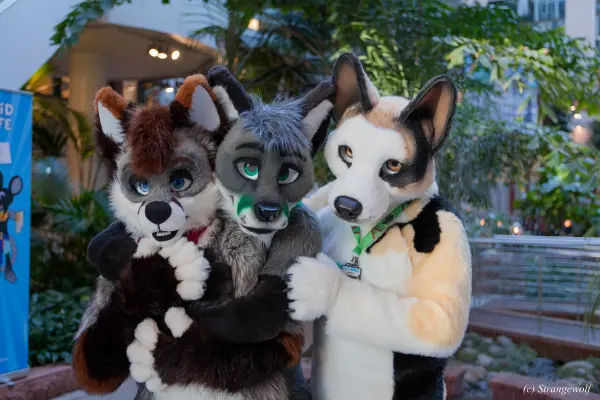 IMG_0197-lr19t.jpg of NFC/NFC2018/