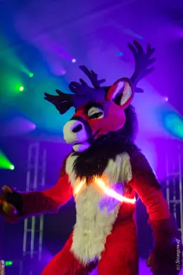 1R3A0597-lr19t.jpg of MFF/MFF2025/