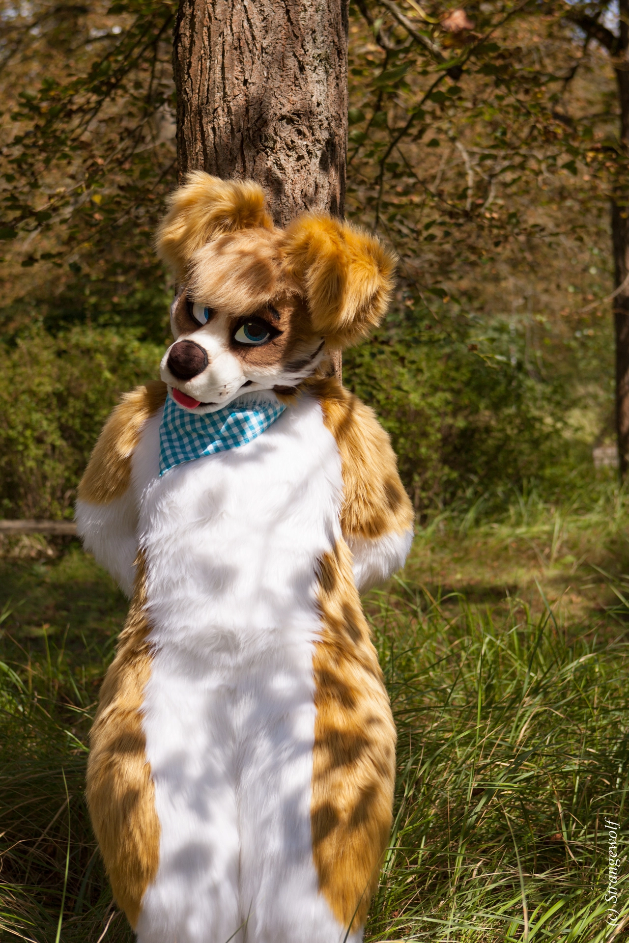 full image IMG_6183-lr19t.jpg