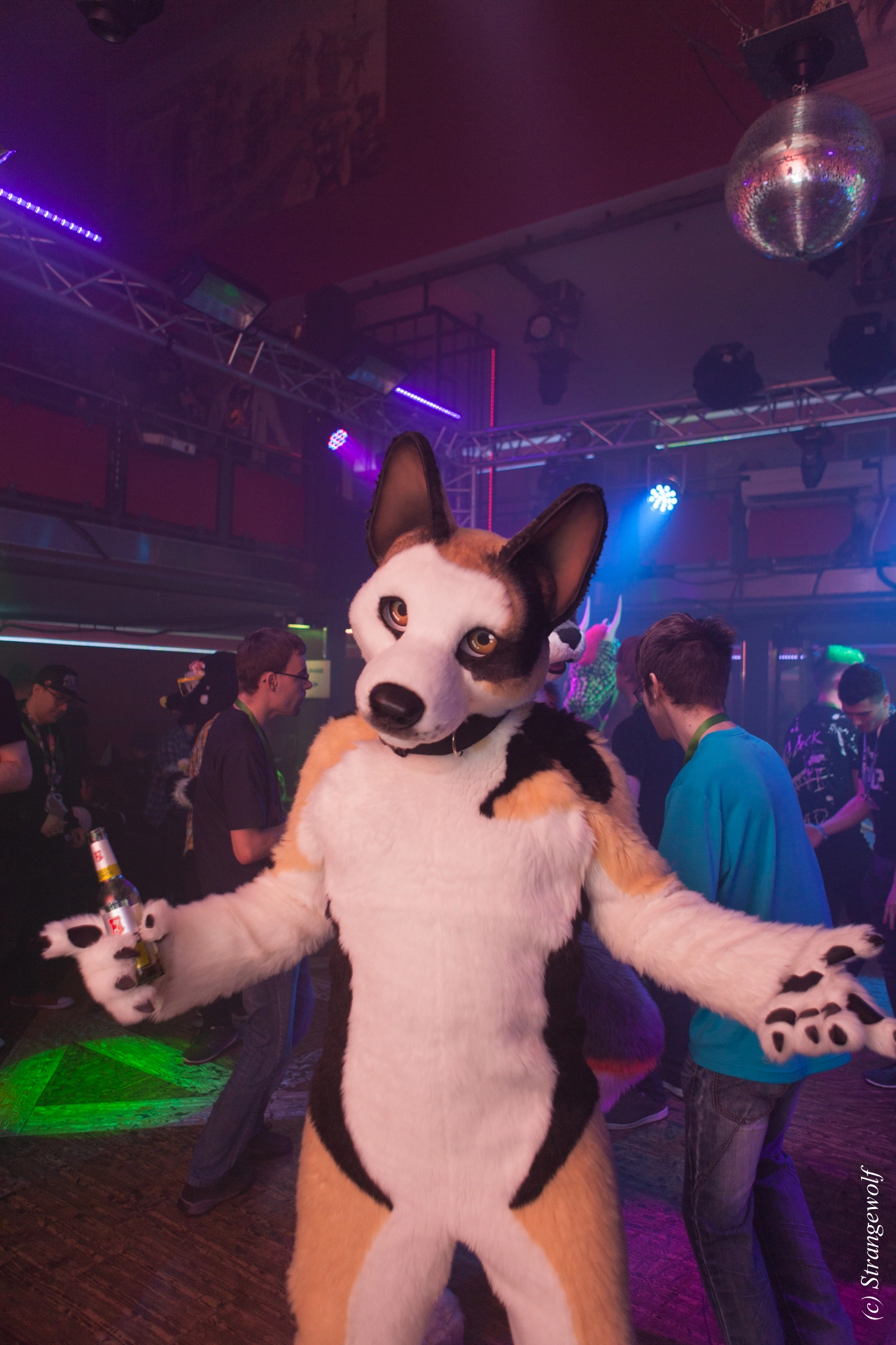 full image IMG_0809-lr19t.jpg