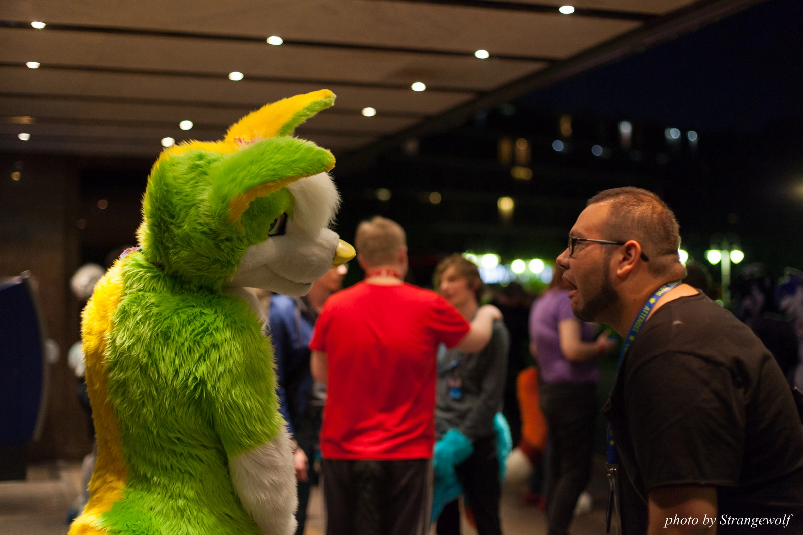 full image IMG_7644-lr16t.jpg