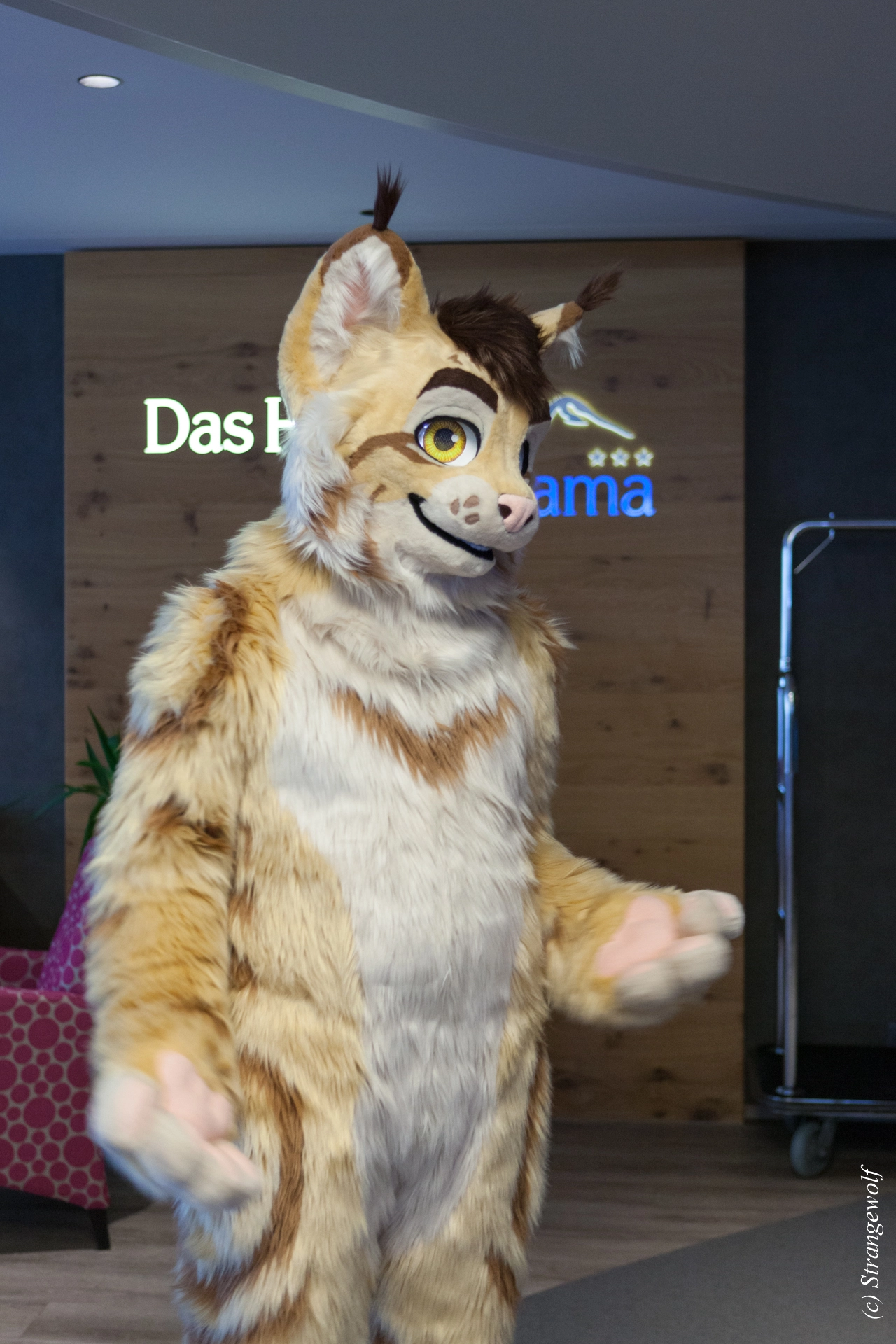 full image IMG_6978-lr19t.jpg