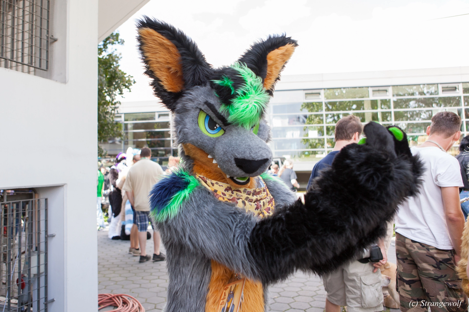 full image IMG_6908-lr19t.jpg