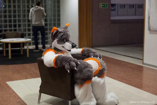 IMG_1604-lr16t.jpg of NFC/NFC2017/