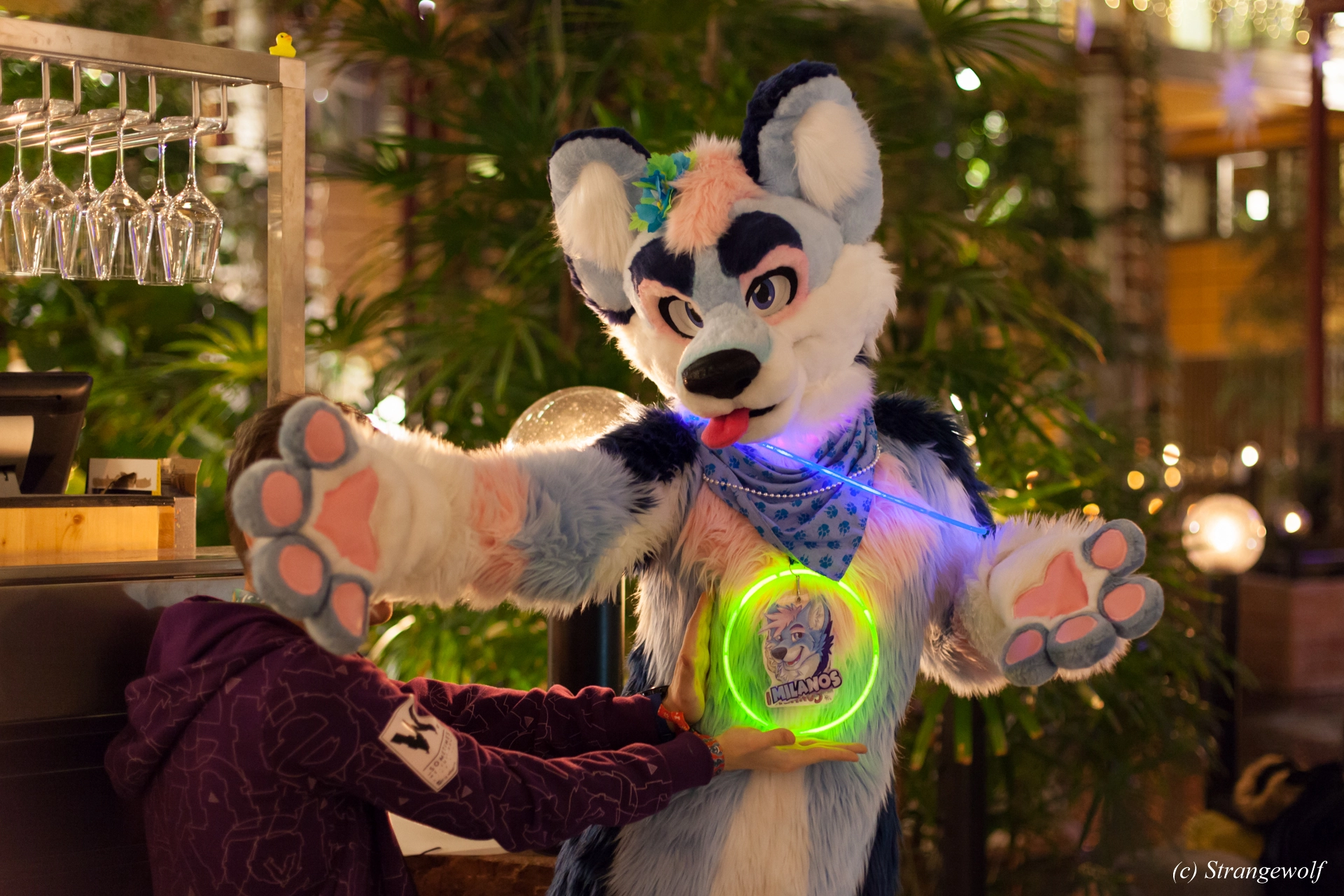 full image IMG_9832-lr19t.jpg