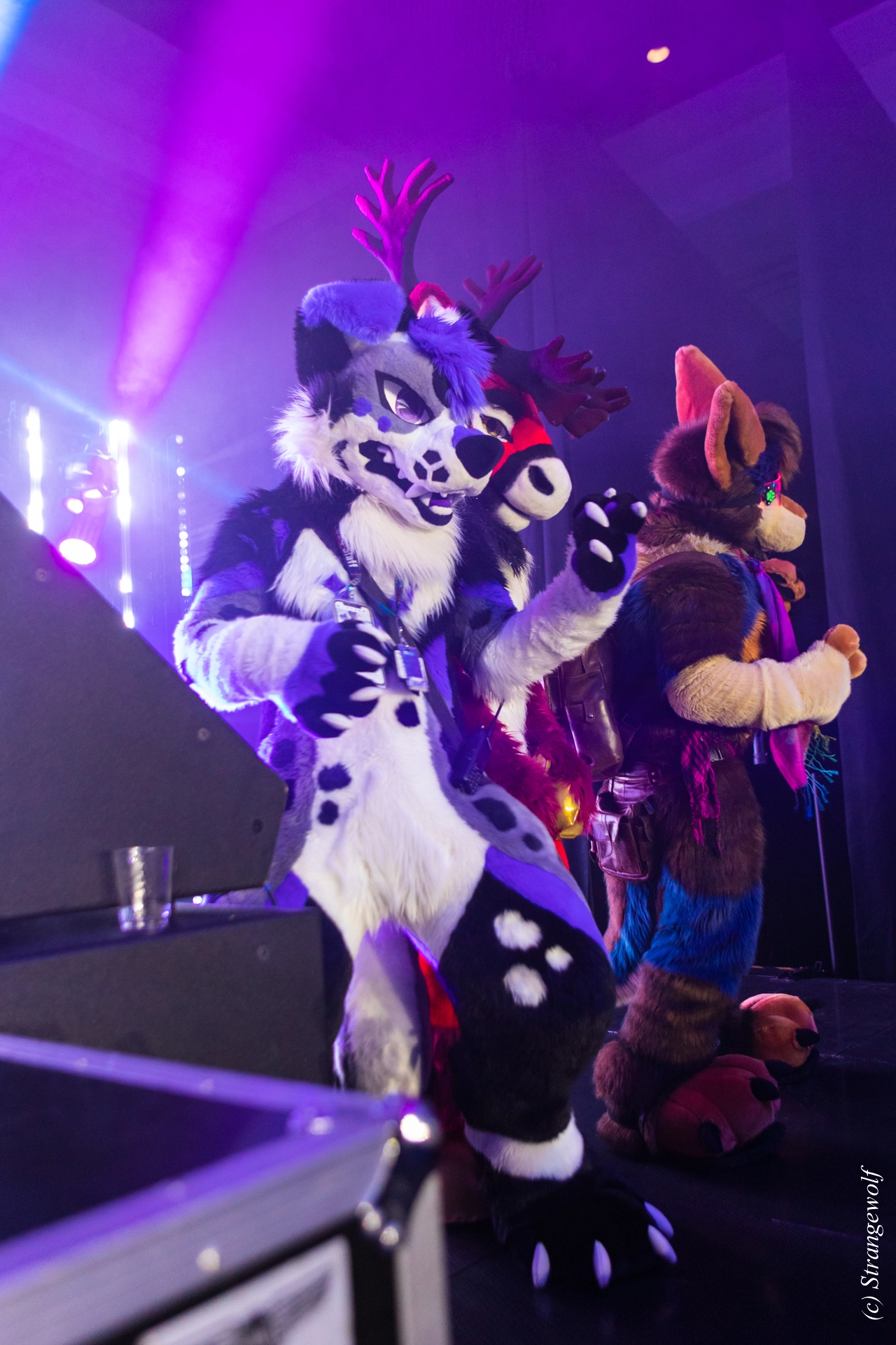 full image 1R3A5385-lr19t.jpg