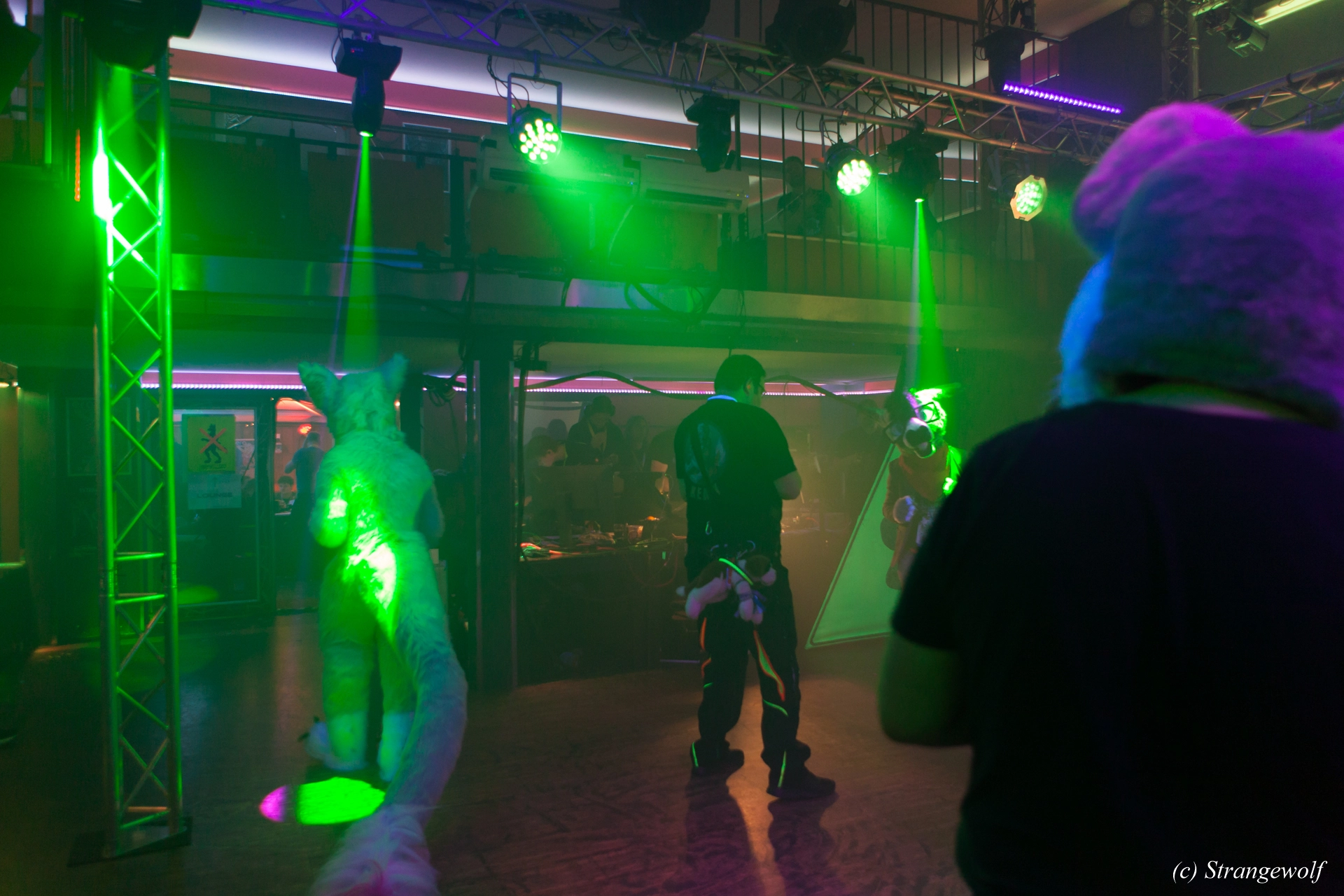 full image IMG_0717-lr19t.jpg