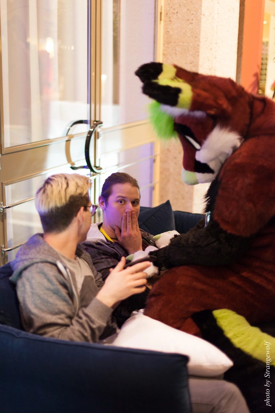 full image IMG_2248-lr16t.jpg