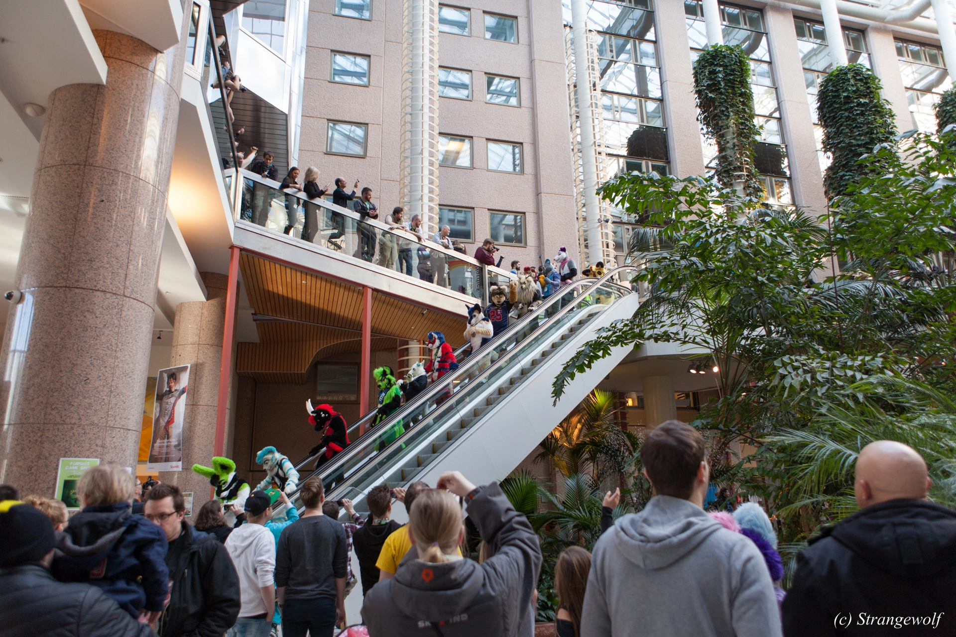 full image IMG_9469-lr19t.jpg