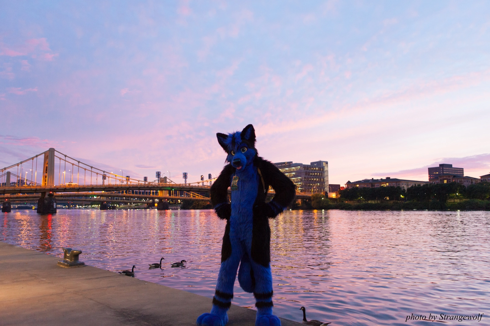 full image IMG_8369-lr16t.jpg