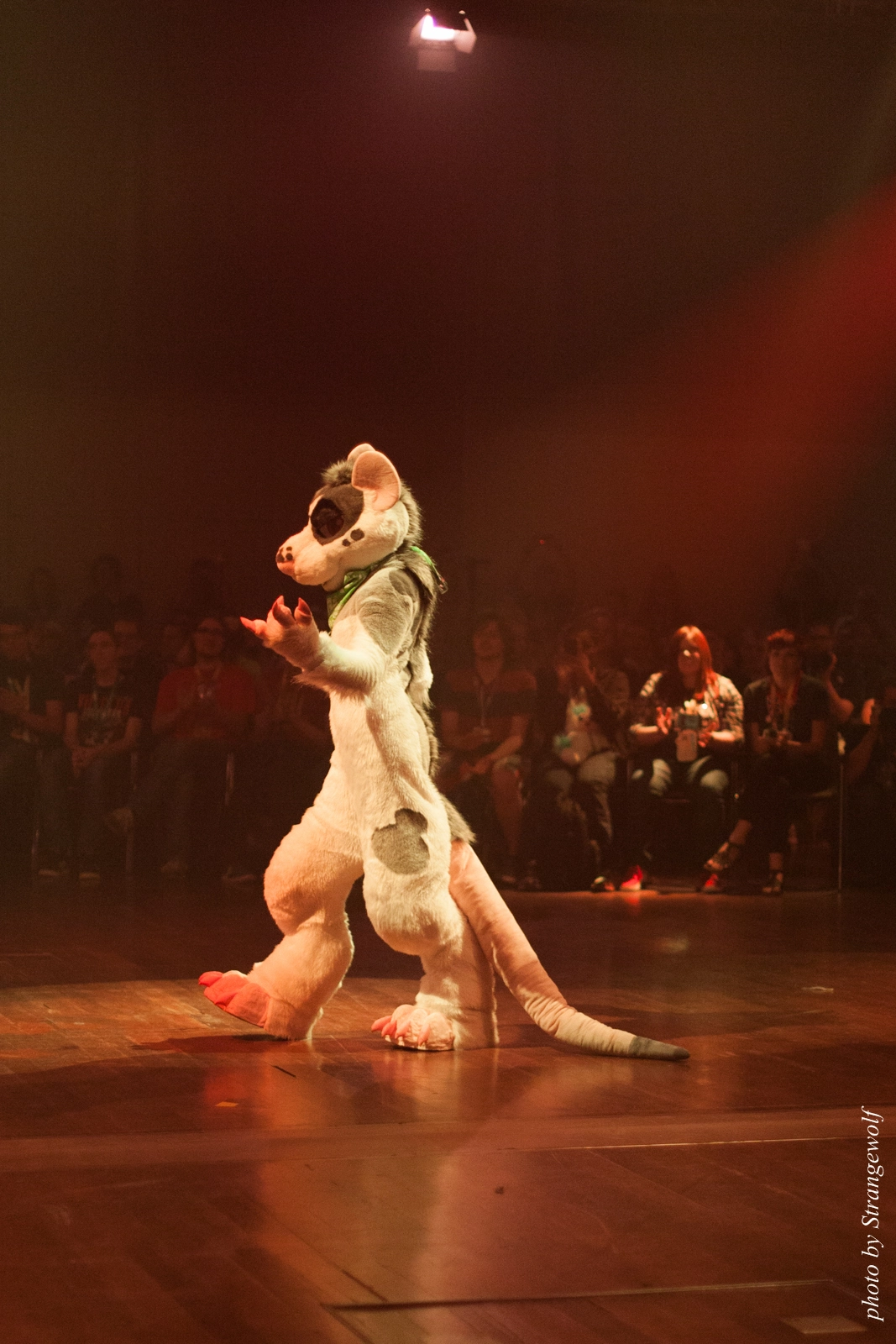 full image IMG_2474-lr16t.jpg
