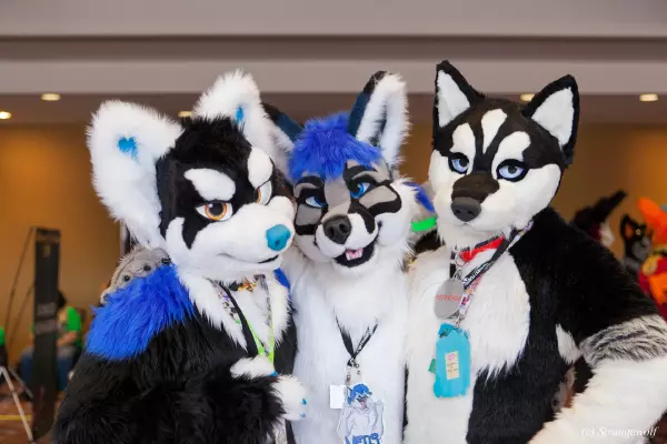 IMG_8390-lr19t.jpg of MFF/MFF2017/