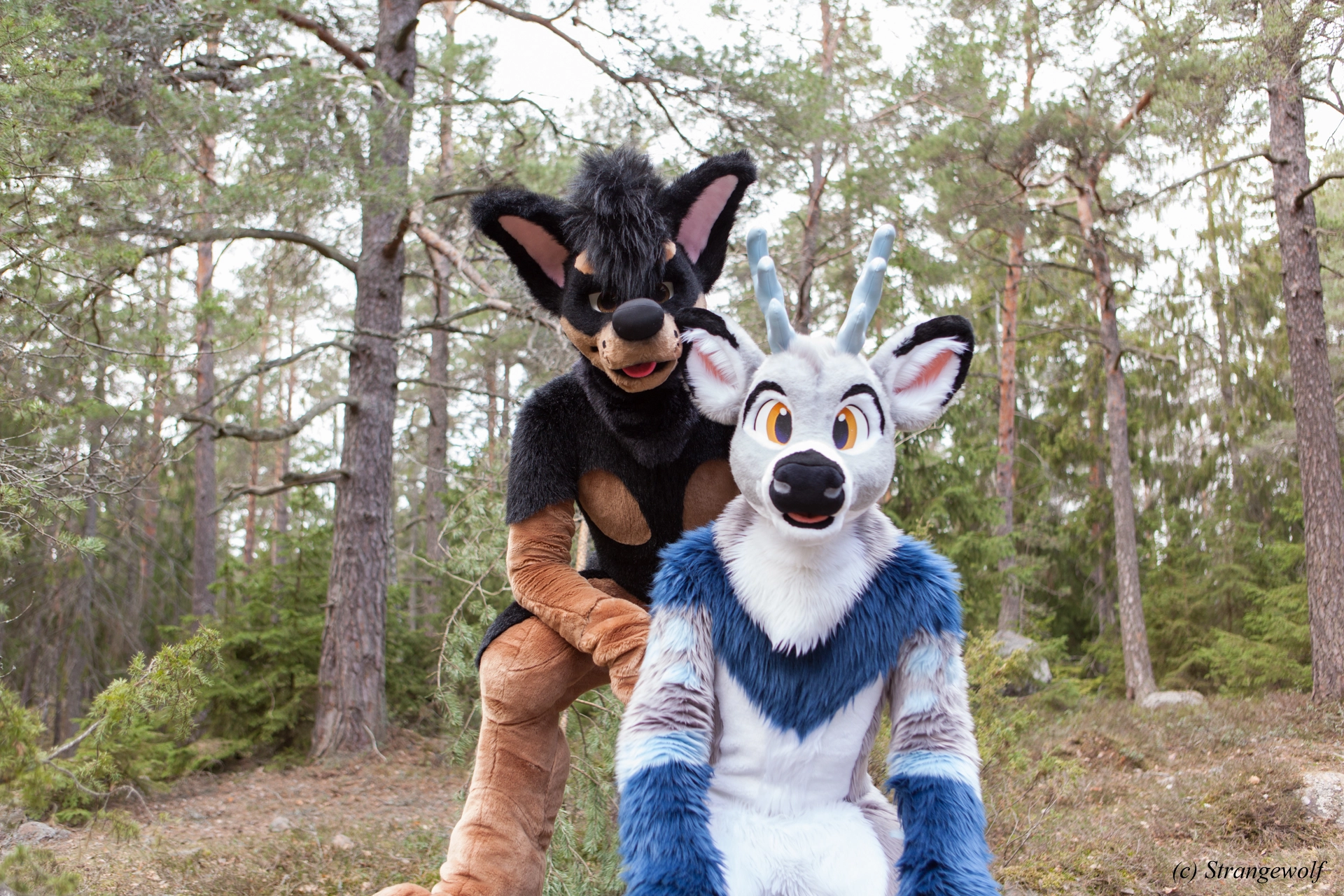 full image IMG_8677-lr19t.jpg