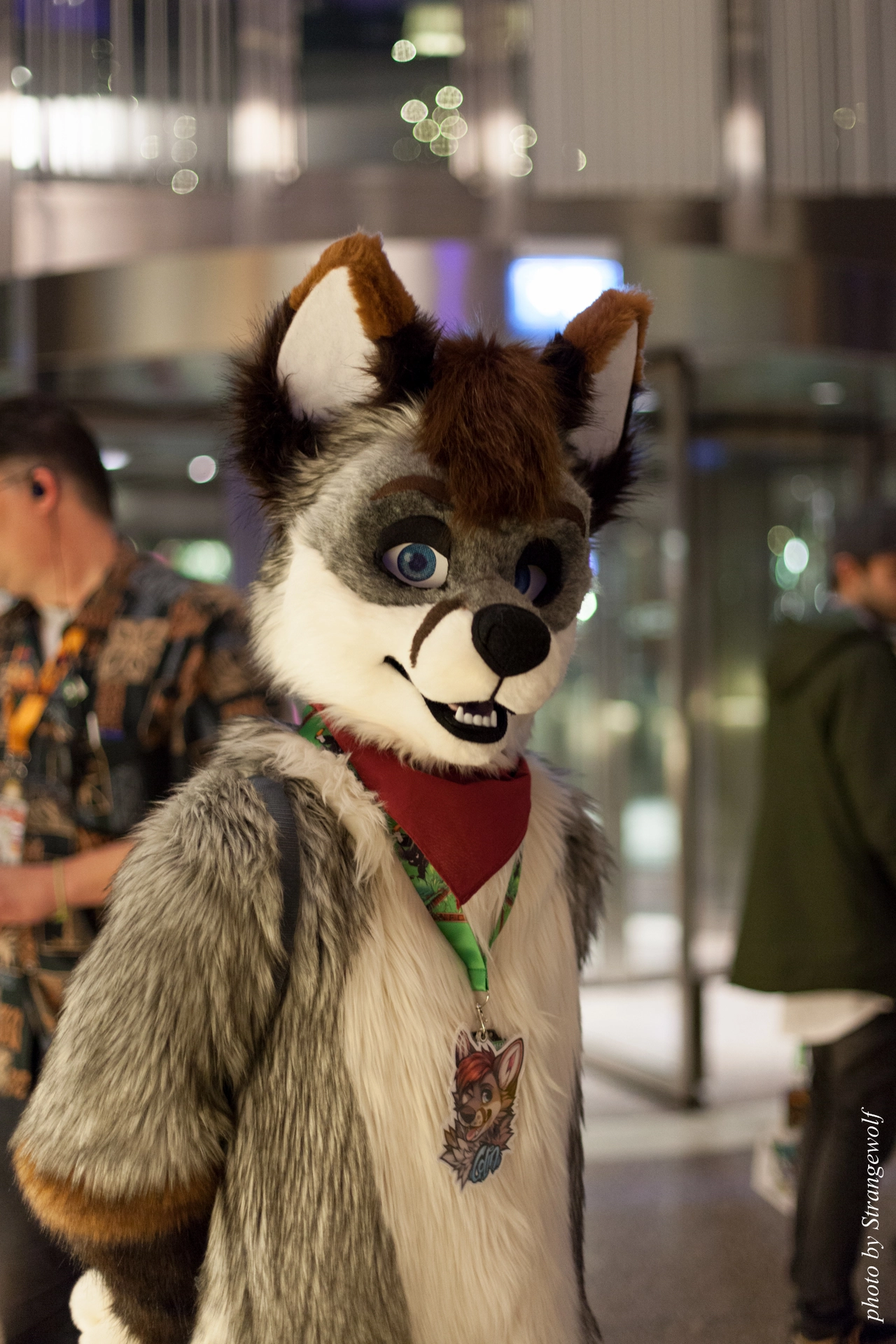 full image IMG_9292-lr19t.jpg