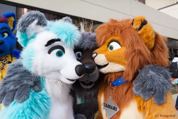 IMG_8348-lr19t.jpg of MFF/MFF2017/