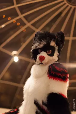 IMG_7137-lr19t.jpg of MFF/MFF2018/
