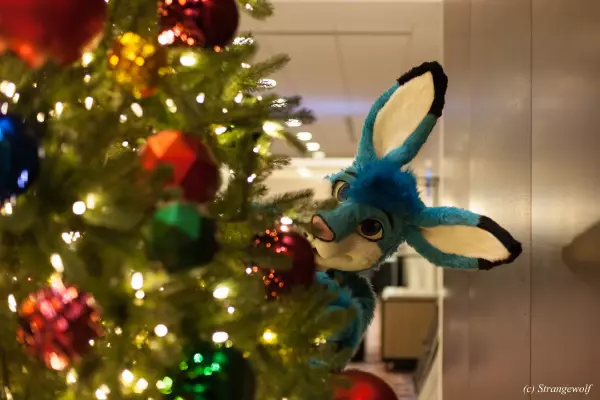 IMG_1854-lr19t.jpg of MFF/MFF2021/