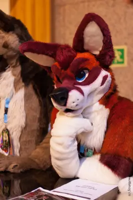 IMG_9618-lr19t.jpg of NFC/NFC2019/