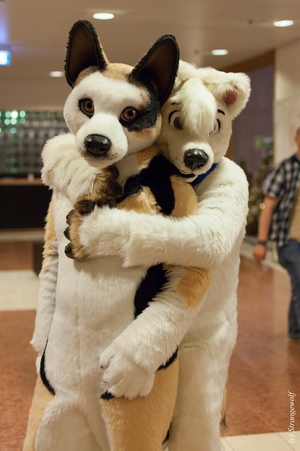 full image IMG_9177-lr19t.jpg