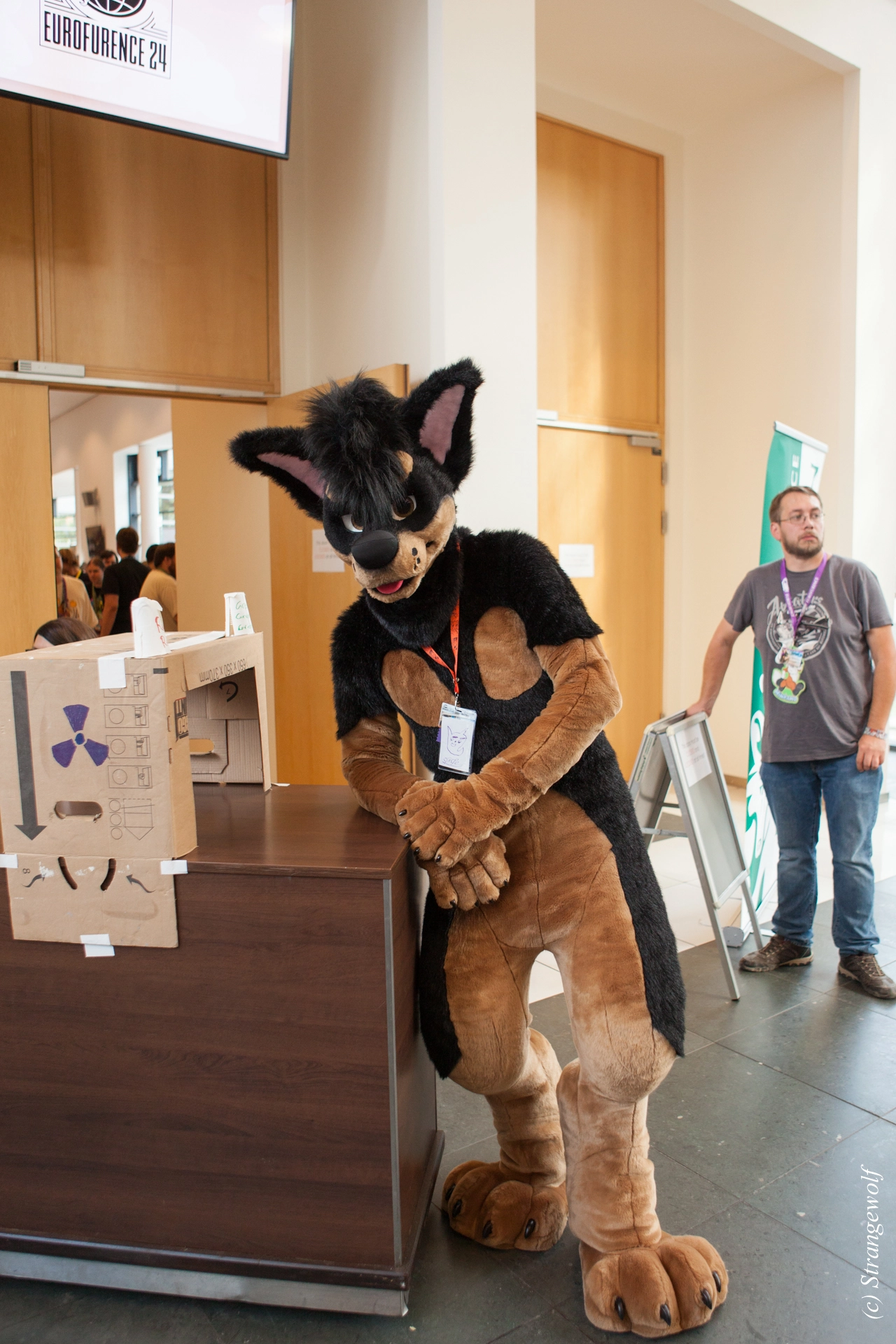 full image IMG_4968-lr19t.jpg