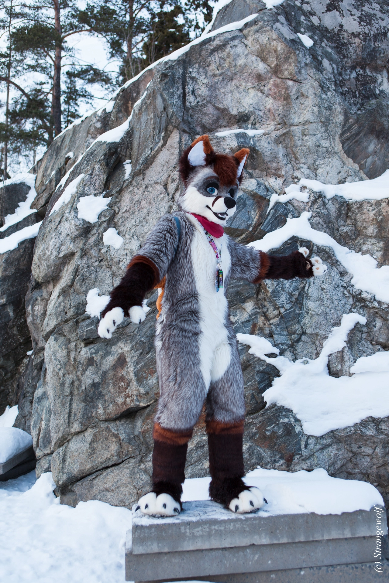 full image IMG_0664-lr19t.jpg