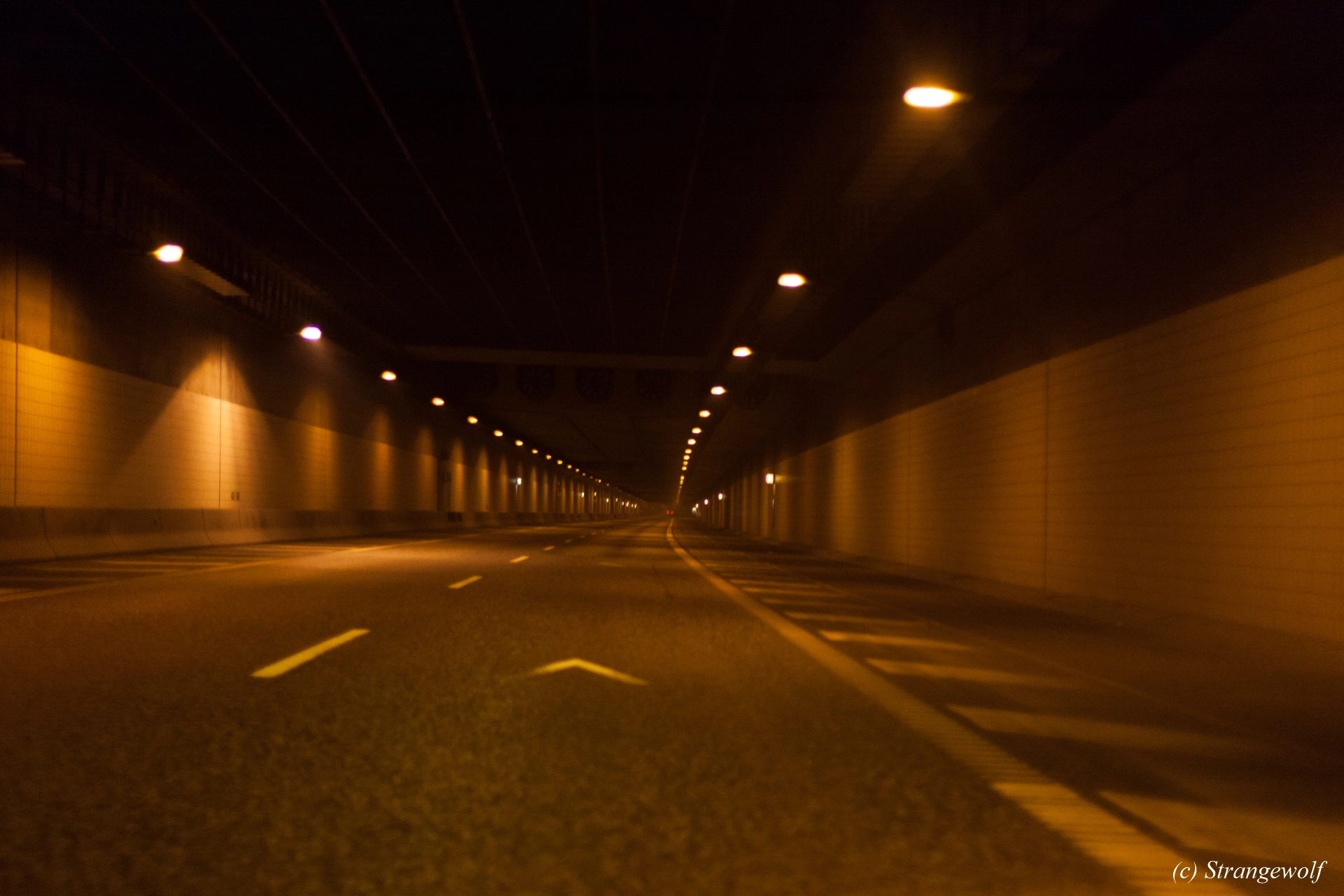 full image IMG_8469-lr19t.jpg