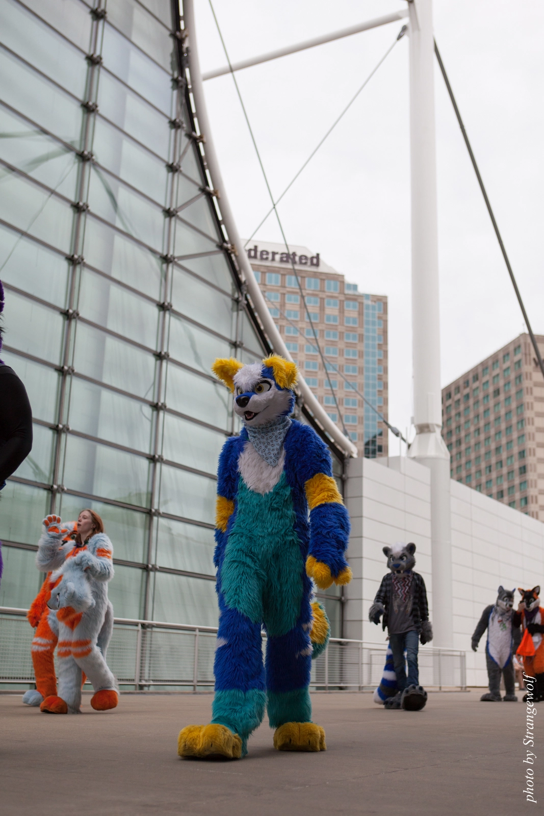 full image IMG_8221-lr16t.jpg