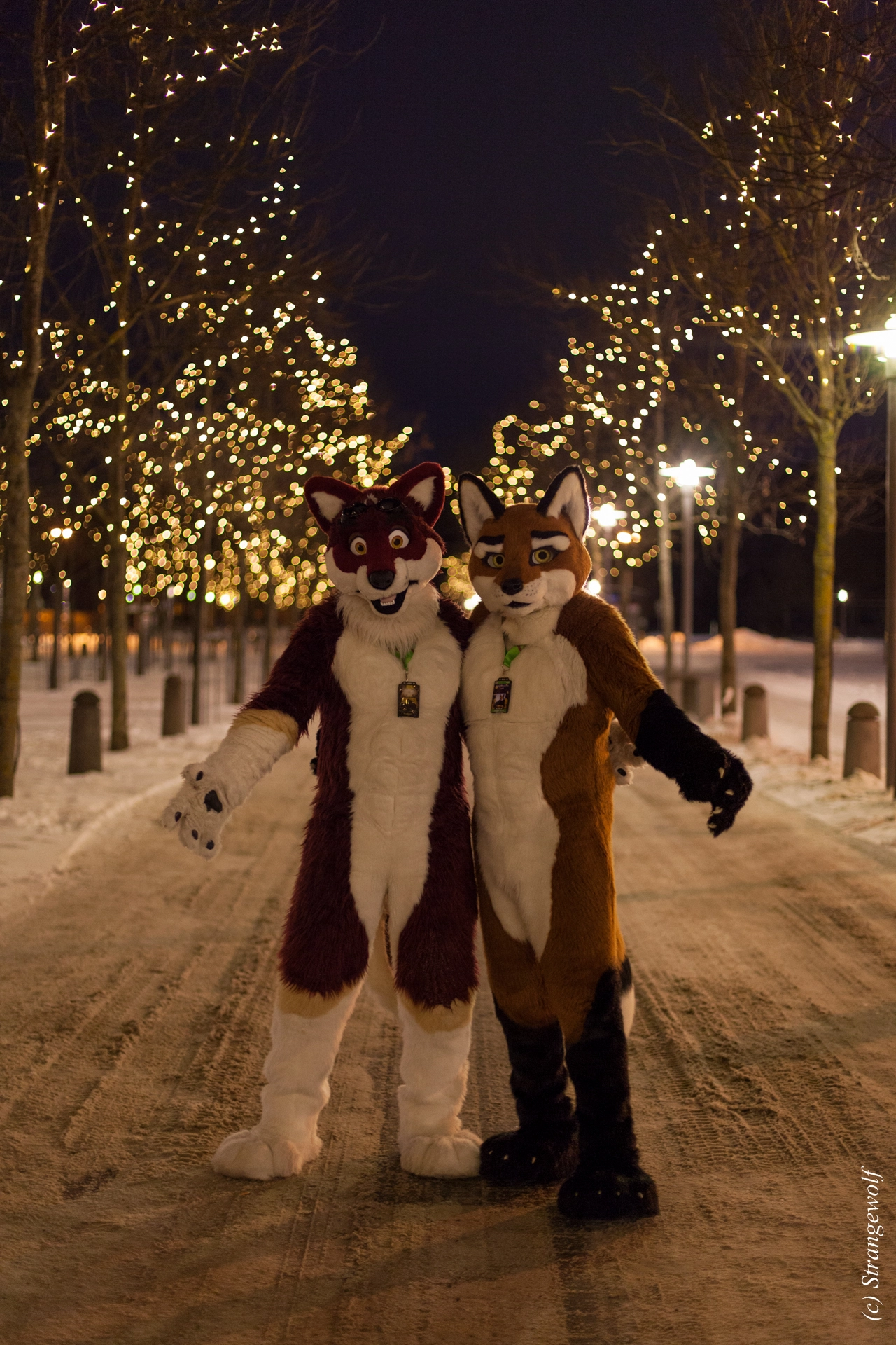 full image IMG_9432-lr19t.jpg