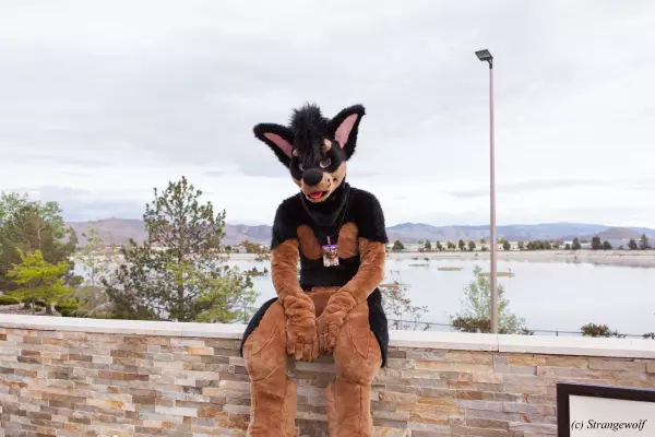IMG_2825-lr19t.jpg of BLFC/2018/