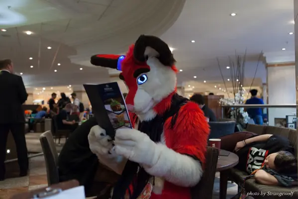 IMG_7729-lr16t.jpg of CFZ/CFZ2016/