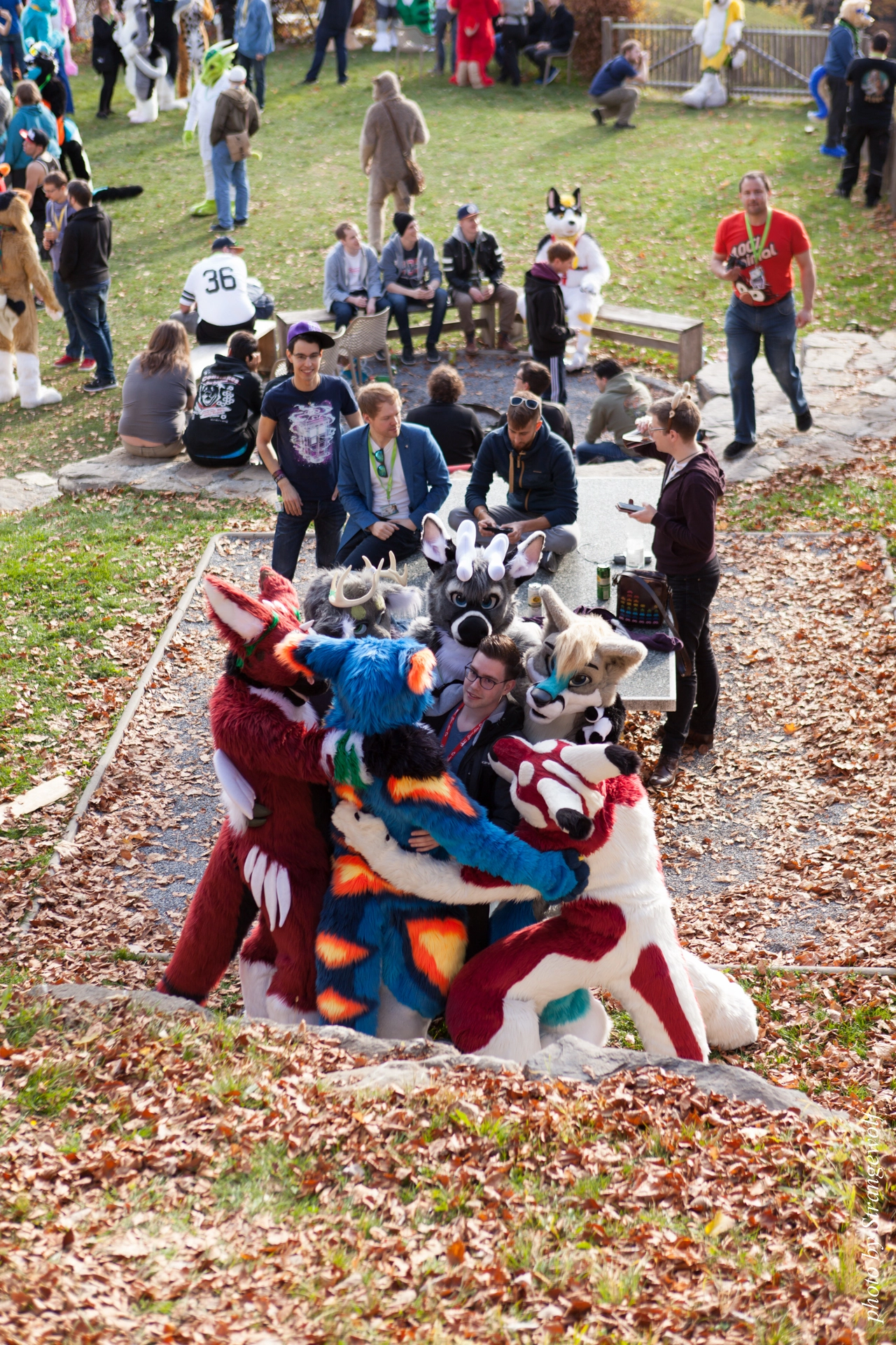 full image IMG_7826-lr19t.jpg