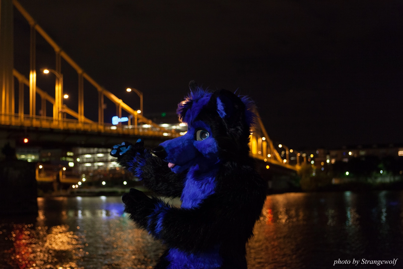 full image IMG_8533-lr16t.jpg
