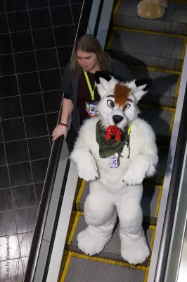 IMG_1720-lr16t.jpg of NFC/NFC2017/