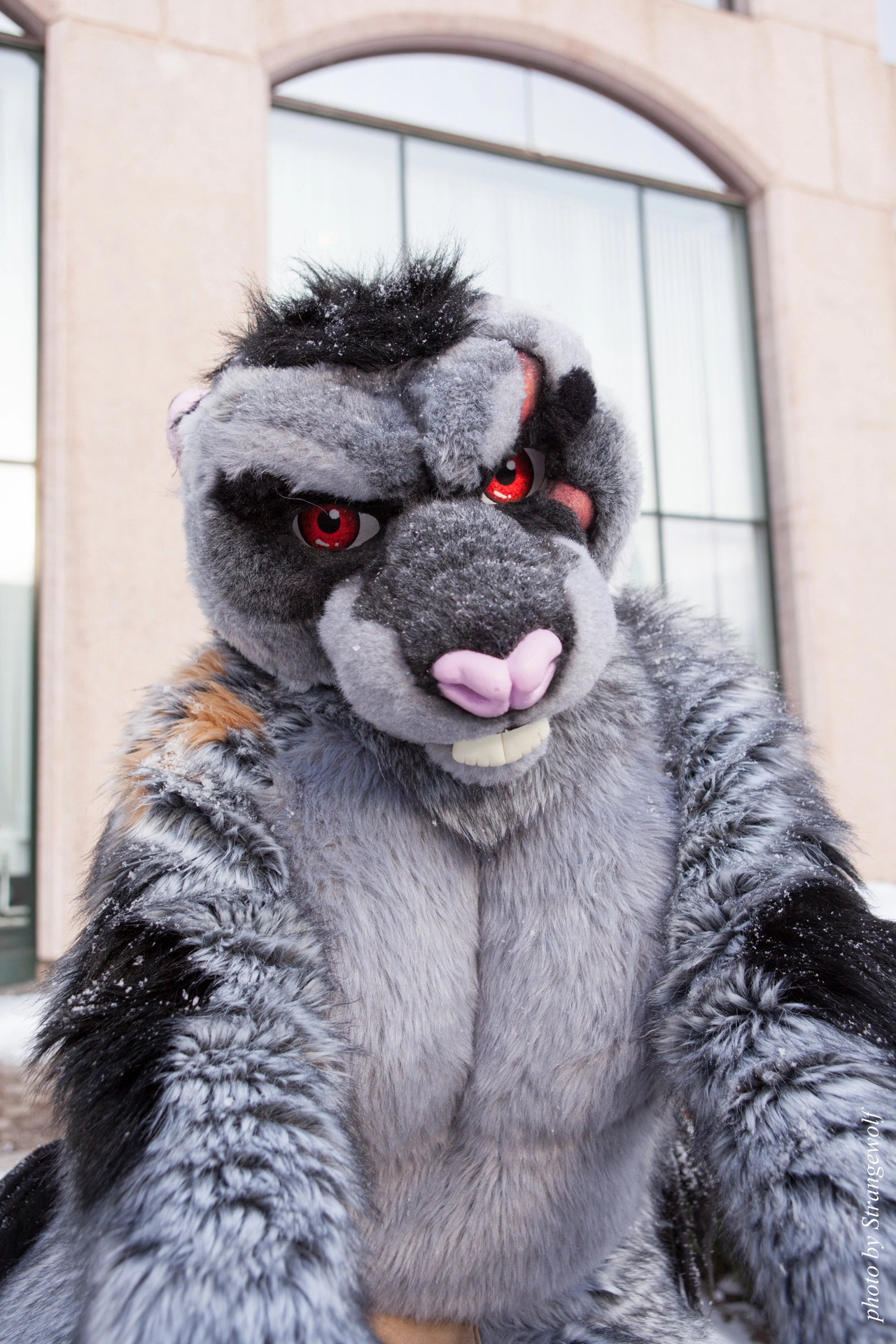 full image IMG_0375-lr19t.jpg