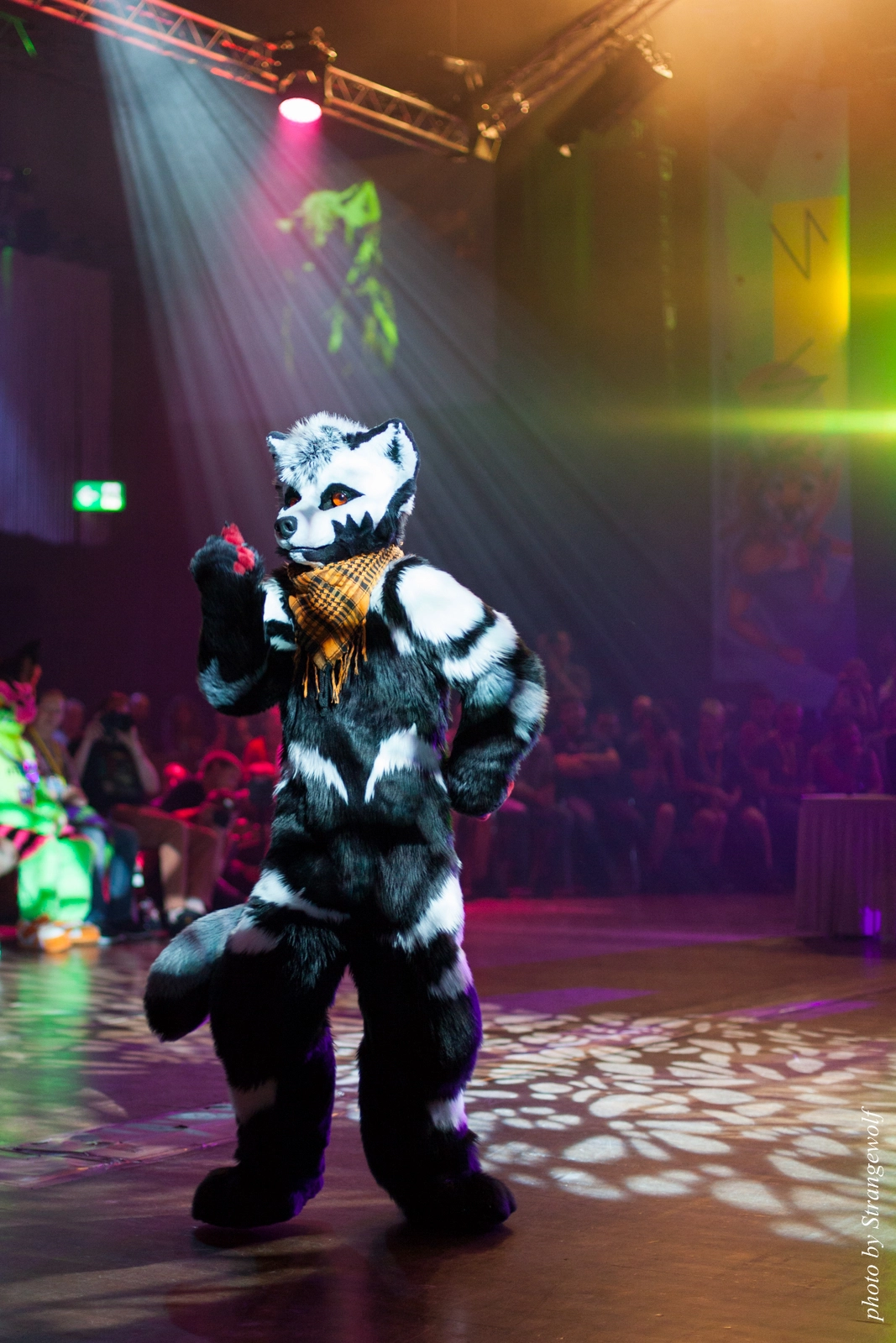 full image IMG_9803-lr16t.jpg