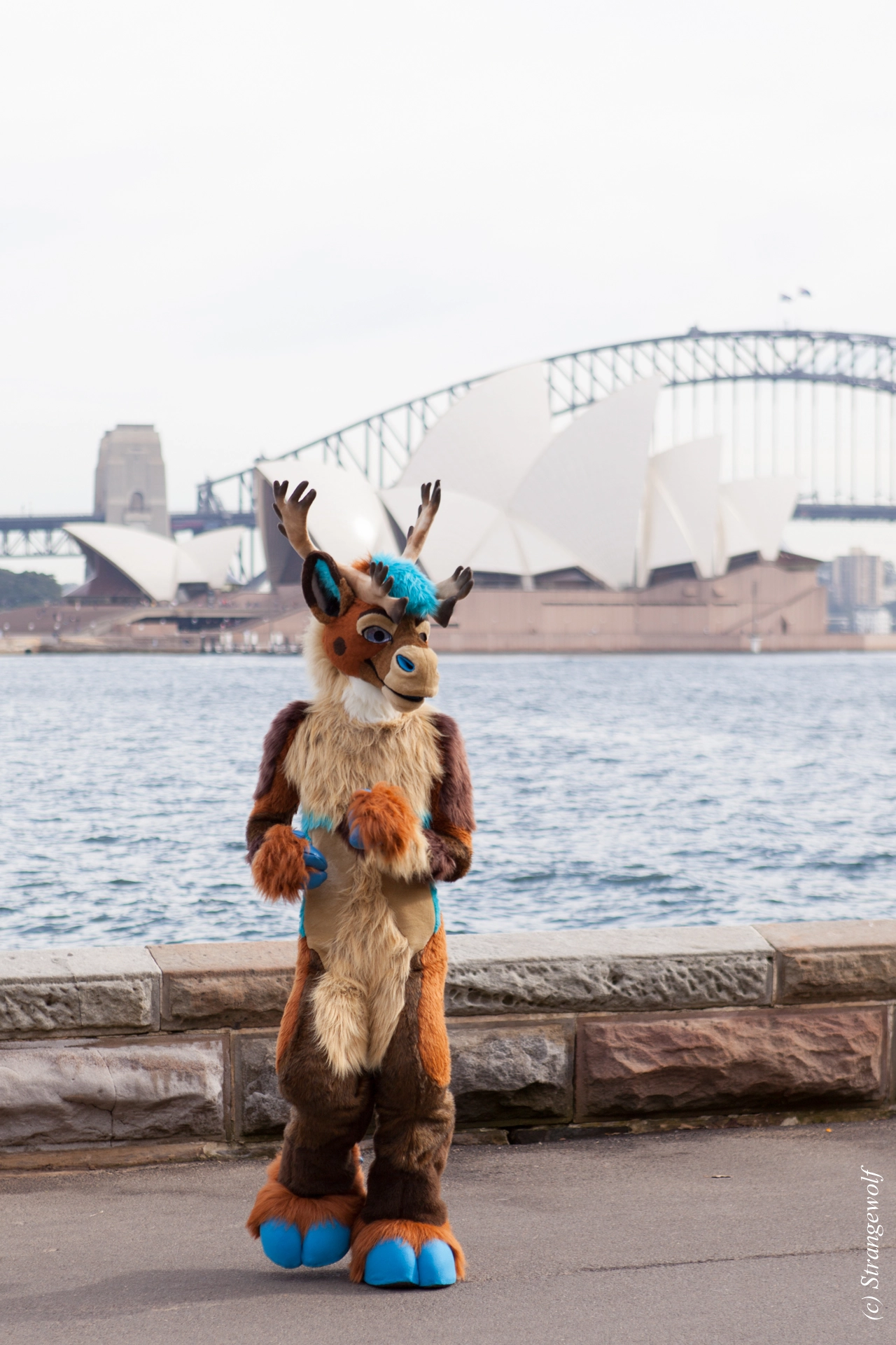 full image IMG_4312-lr19t.jpg