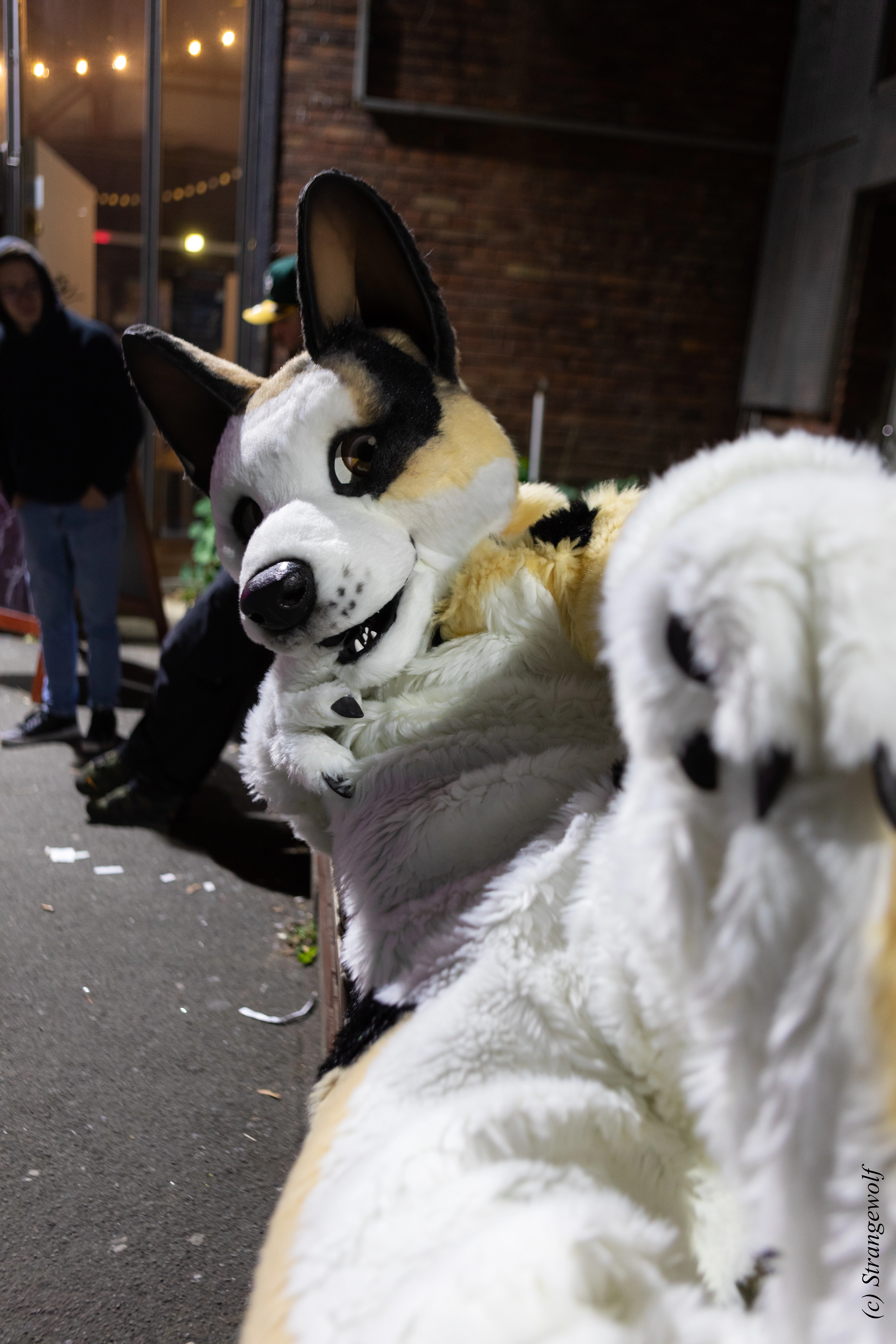 full image 1R3A2615-lr.jpg