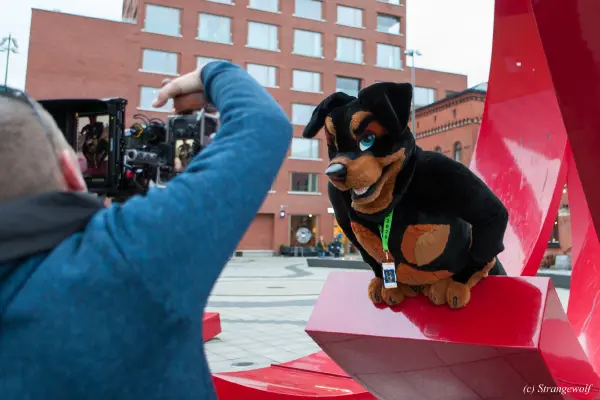 IMG_8582-lr19t.jpg of NFC/NFC2020/