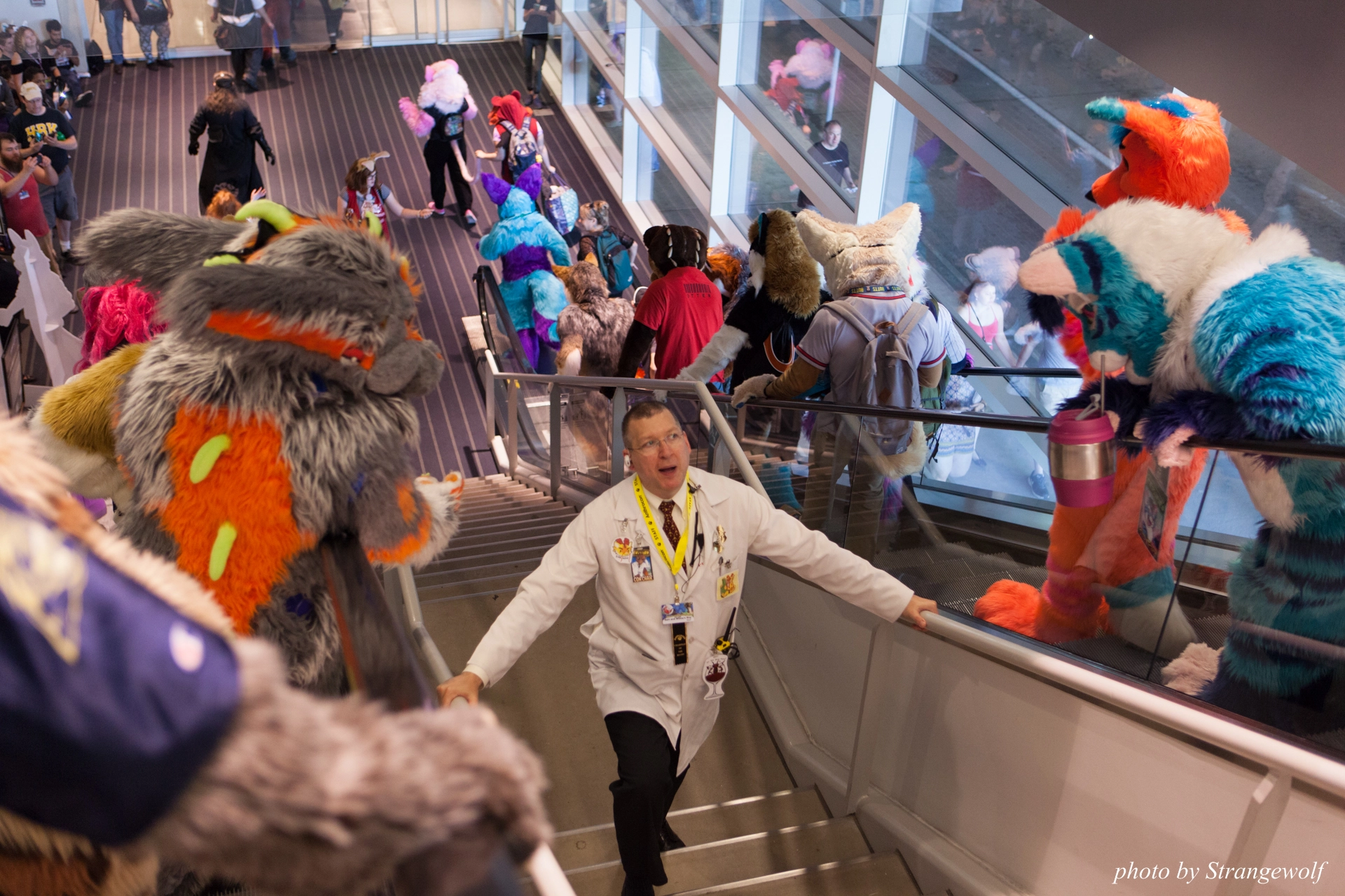 full image IMG_4489-lr19t.jpg