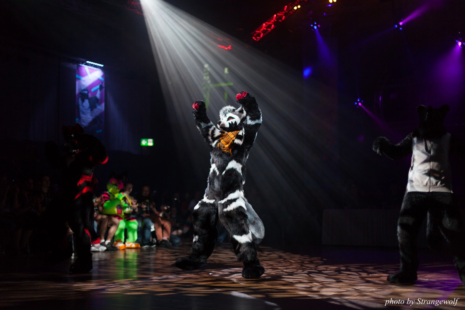 full image IMG_9921-lr16t.jpg
