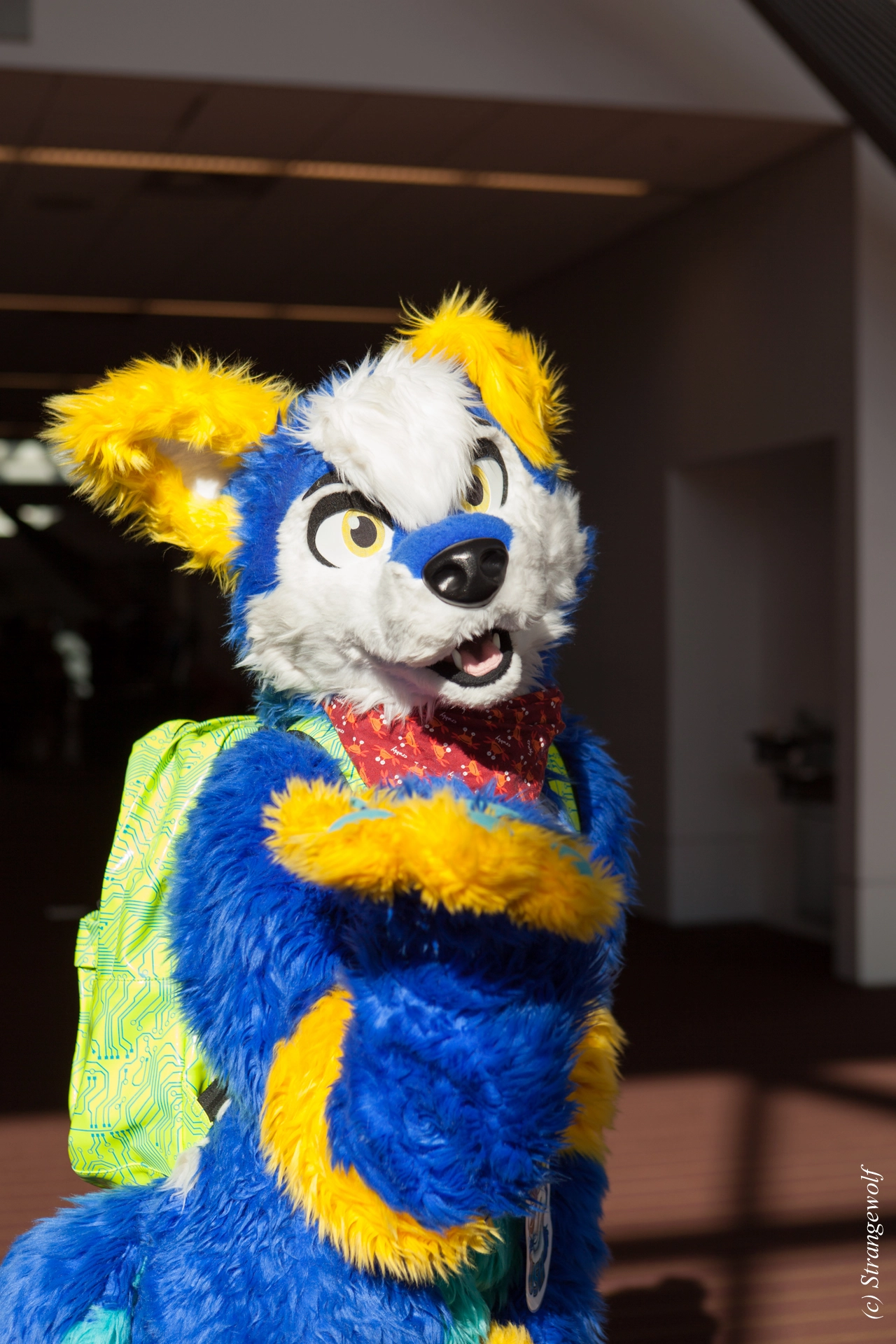 full image IMG_4376-lr19t.jpg