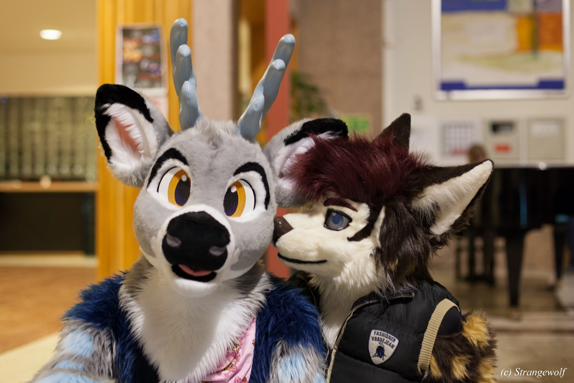 full image IMG_9215-lr19t.jpg