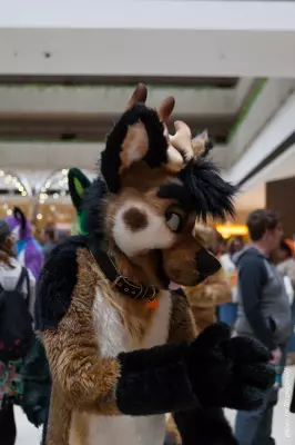 IMG_0685-lr16t.jpg of MFF/MFF2016/