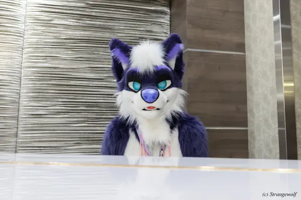 1R3A3255-lr19t.jpg of BLFC/BLFC2023/