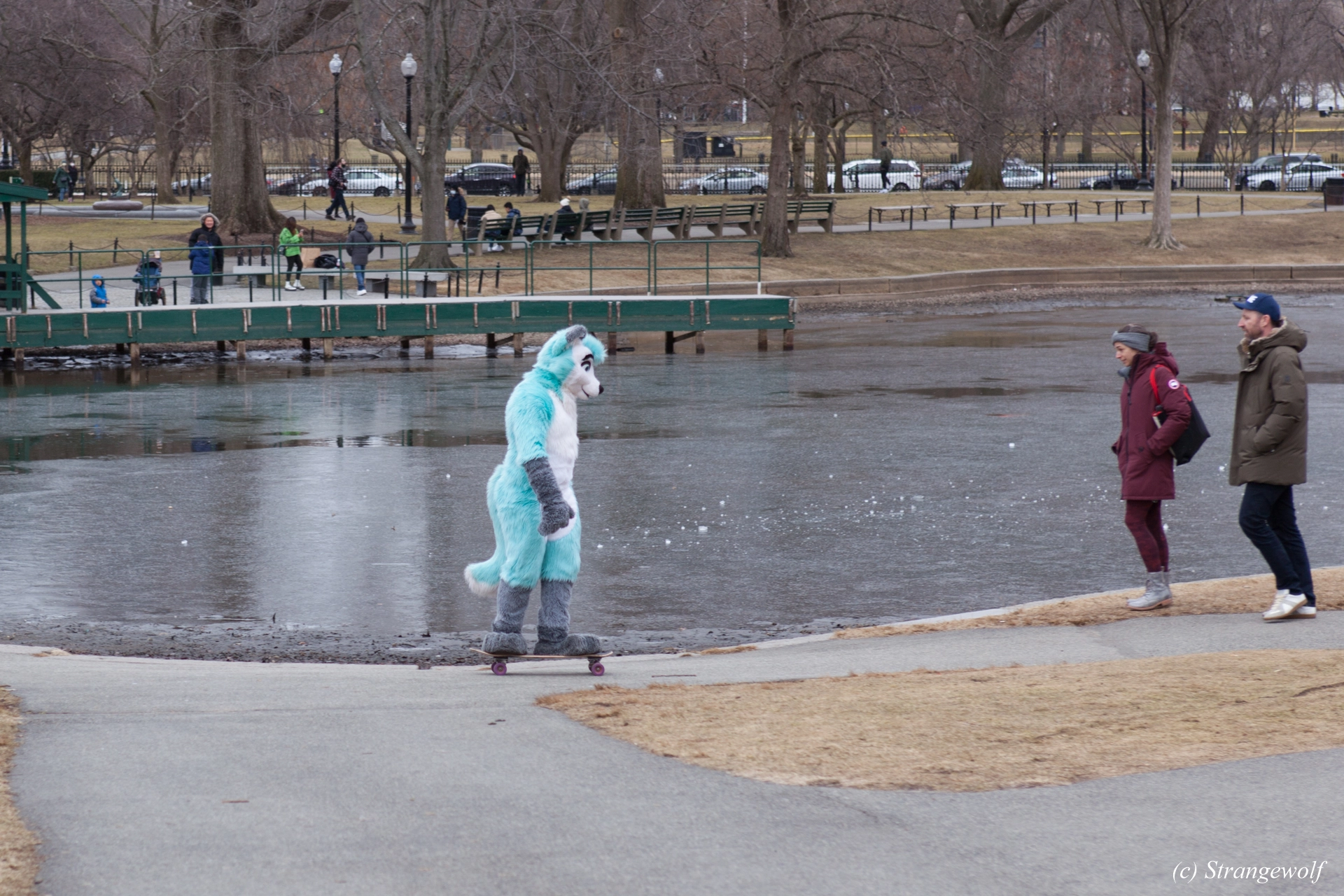 full image IMG_3294-lr19t.jpg
